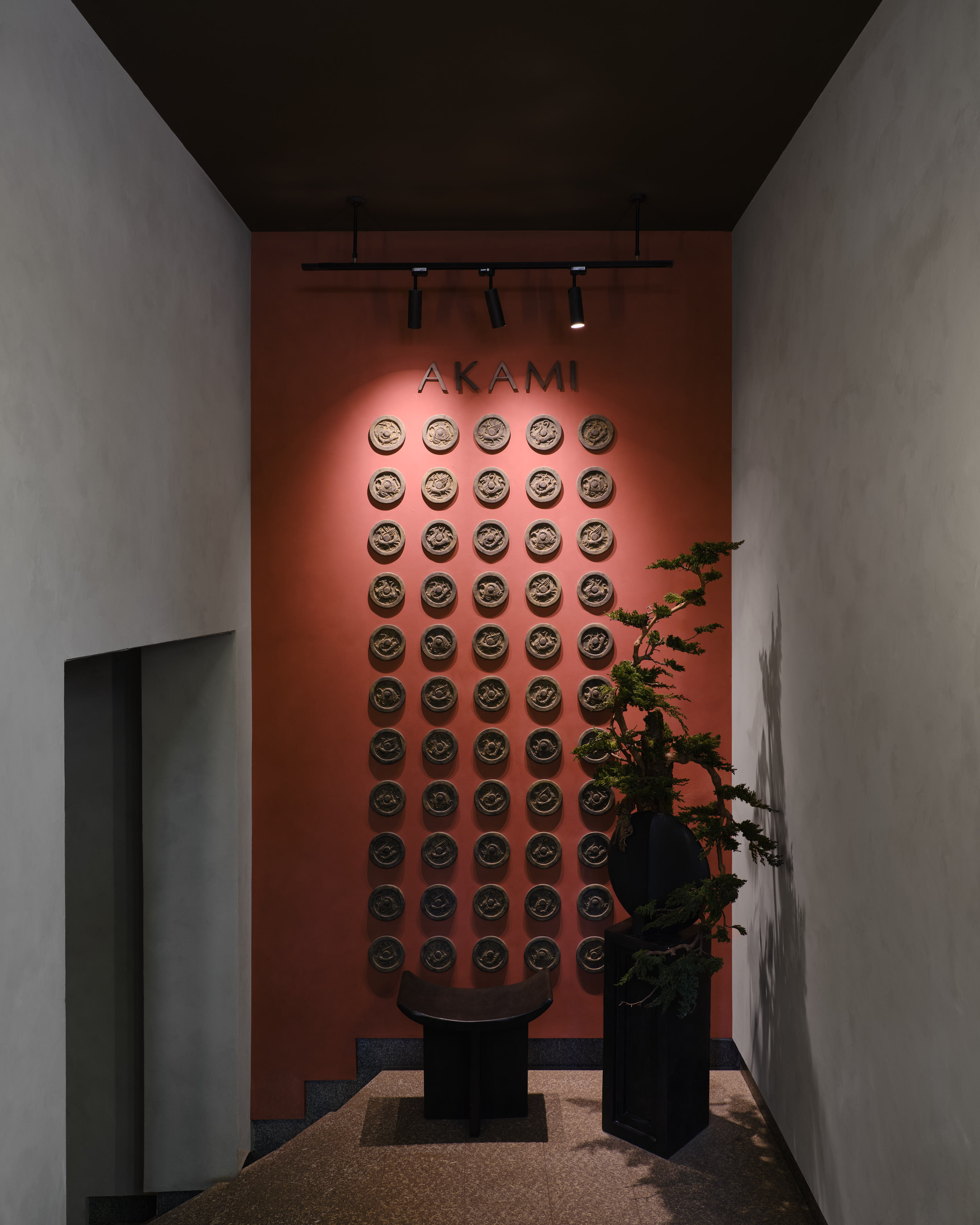 Малыгина Яна, Пак Марианна, Солнцева Юлия