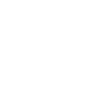 silver-partners