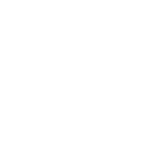 Информационные партнеры